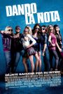 Notas perfectas