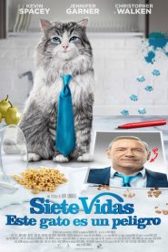 Siete vidas, este gato es un peligro