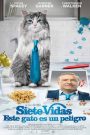 Siete vidas, este gato es un peligro