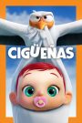 Cigüeñas