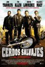 Cerdos salvajes (con un par… de ruedas)