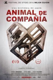 Animal de compañía