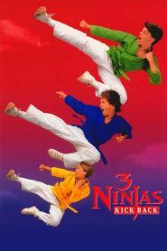 Los tres pequeños ninjas contraatacan