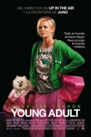 Adultos jovenes (Young Adult)