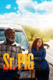 Sr. Pig / Mr. Pig