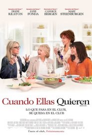 Cuando ellas quieren (Book Club)