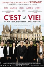La fiesta de la vida / Le sens de la fête