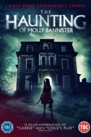 Bannister Dollhouse 2020