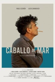 Caballo de mar 2020