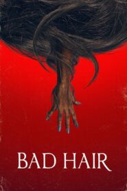 Bad Hair 2020