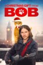 A Christmas Gift from Bob 2020