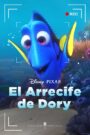 Dory’s Reef Cam 2020