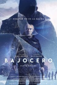 Bajocero 2021
