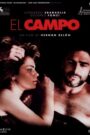 El campo 2011