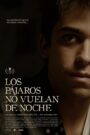 Los pájaros no vuelan de noche 2020