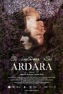 Ardara 2019