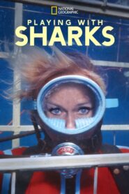 Jugando con tiburones 2021