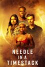 Needle in a Timestack 2021