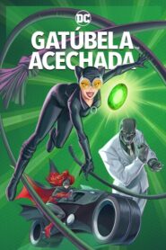 Catwoman: Hunted 2022