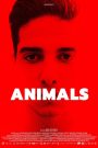 Animals 2021